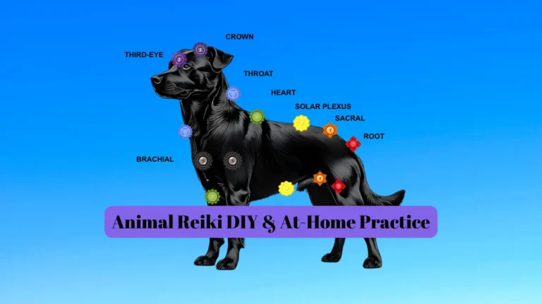 Dog showcasing the 7 chakras for pet energy healing and holistic wellness.